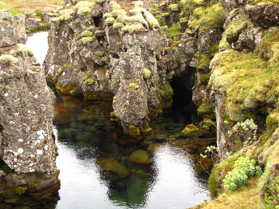 At Þingvellir