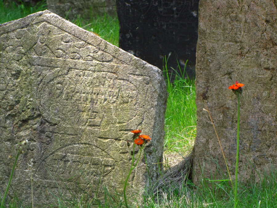 At the Old Jewish Graveyard