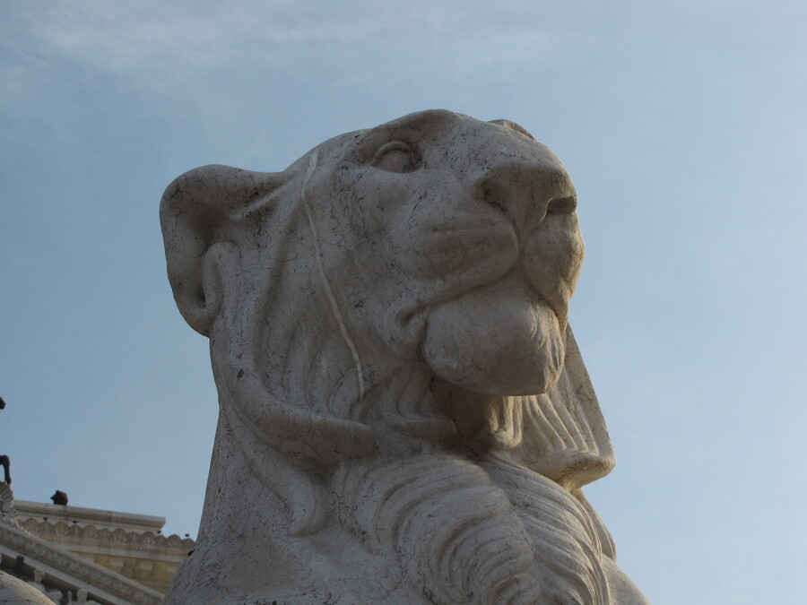 Lion Statue at Il Vittoriano