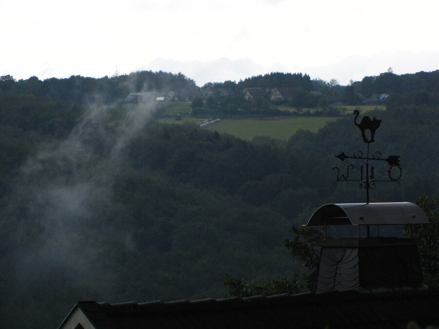 Mist above the woods at Castle of Burg