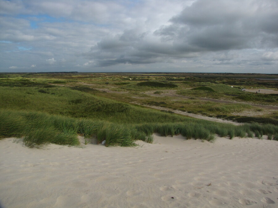 View from the Dunes Inland