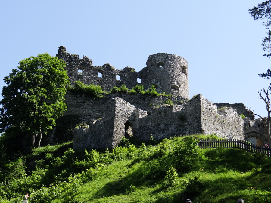 Castle Ehrenberg