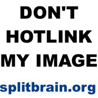 http://www.splitbrain.org/_media/projects/beer.jpg
