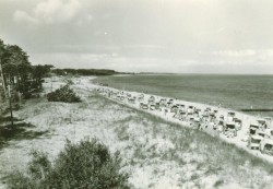 Beach (postcard)