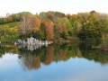 Lac des Cygnes