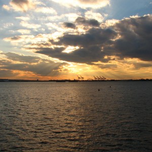 img_8251.jpg