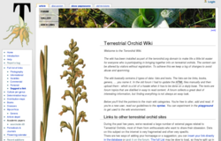 Terrestrial Orchid Wiki