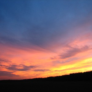 img_8459.jpg
