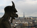 Gargoyle looking at Paris from Notre Dame