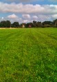 Red House - after