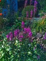 Flowers - after