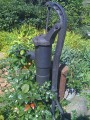 Pump - before