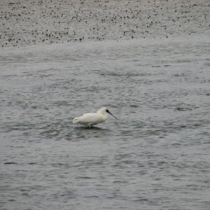 img_1214.jpg