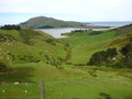 Otago Penisula