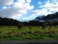 Fiordland National Park