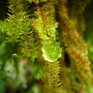 img_1269.jpg