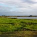 Lake Mývatn