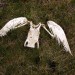 Fallen Angel