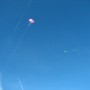 Kites