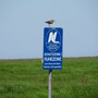 Birds love these signs
