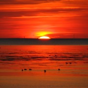 img_2910.jpg