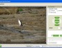 FujiDirekt Software - Cropping a Photo