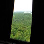 Grunewald from the Main Tower