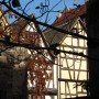 Timber Framed Houses