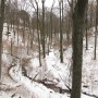 Dresden Heath
