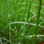 img_4426.jpg