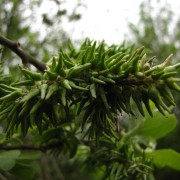 img_4492.jpg