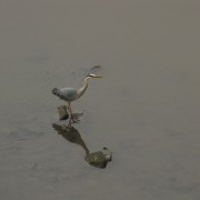 img_5383.jpg