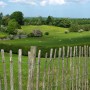 Meadows at Newgrange