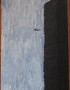 "The Big Jump" 1998