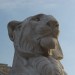 Lion Statue at Il Vittoriano