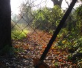 No Trespassing