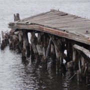 dsc00752.jpg