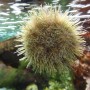At the New England Aquarium