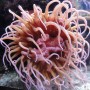 At the New England Aquarium