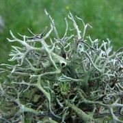 20110520-144423-canon.jpg