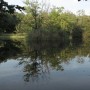Lake in Solingen