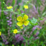 img_0419.jpg