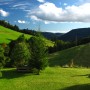 Black Forrest at Todtnauberg