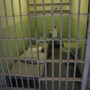 Alcatraz Prison Cell
