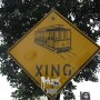 Cable Car Crossing