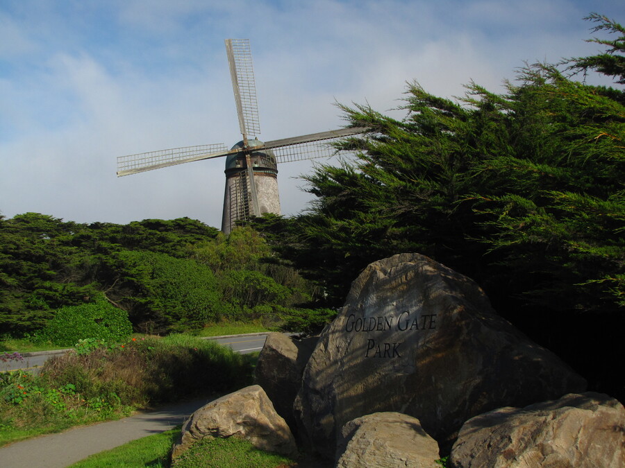 Dutch Windmill at the Golden Gate Park