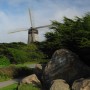Dutch Windmill at the Golden Gate Park