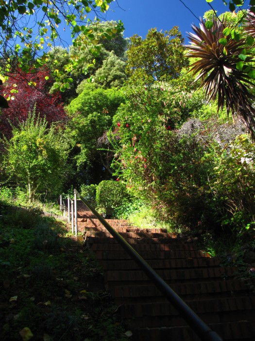 Greenwich Steps to Coit Tower