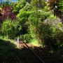 Greenwich Steps to Coit Tower