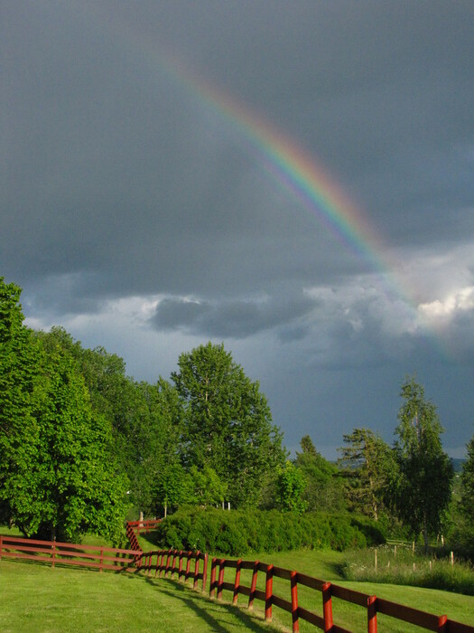 Rainbow